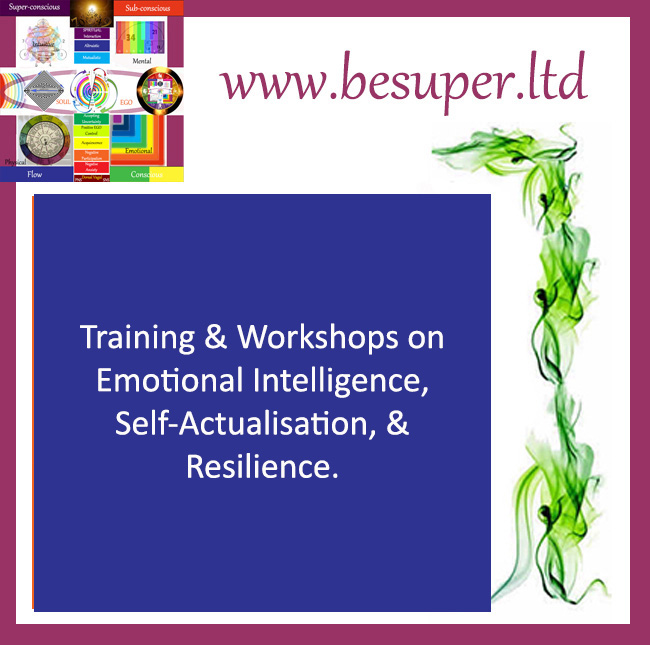 Magnificent training workshops