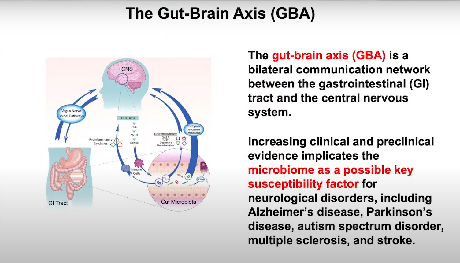 Gut Brain Axis